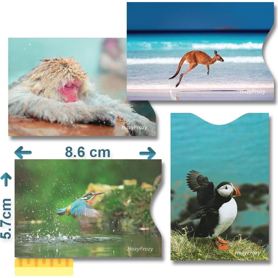 8 Fundas Bloqueadoras RFID PokCat - Diseños Animales Coloridos