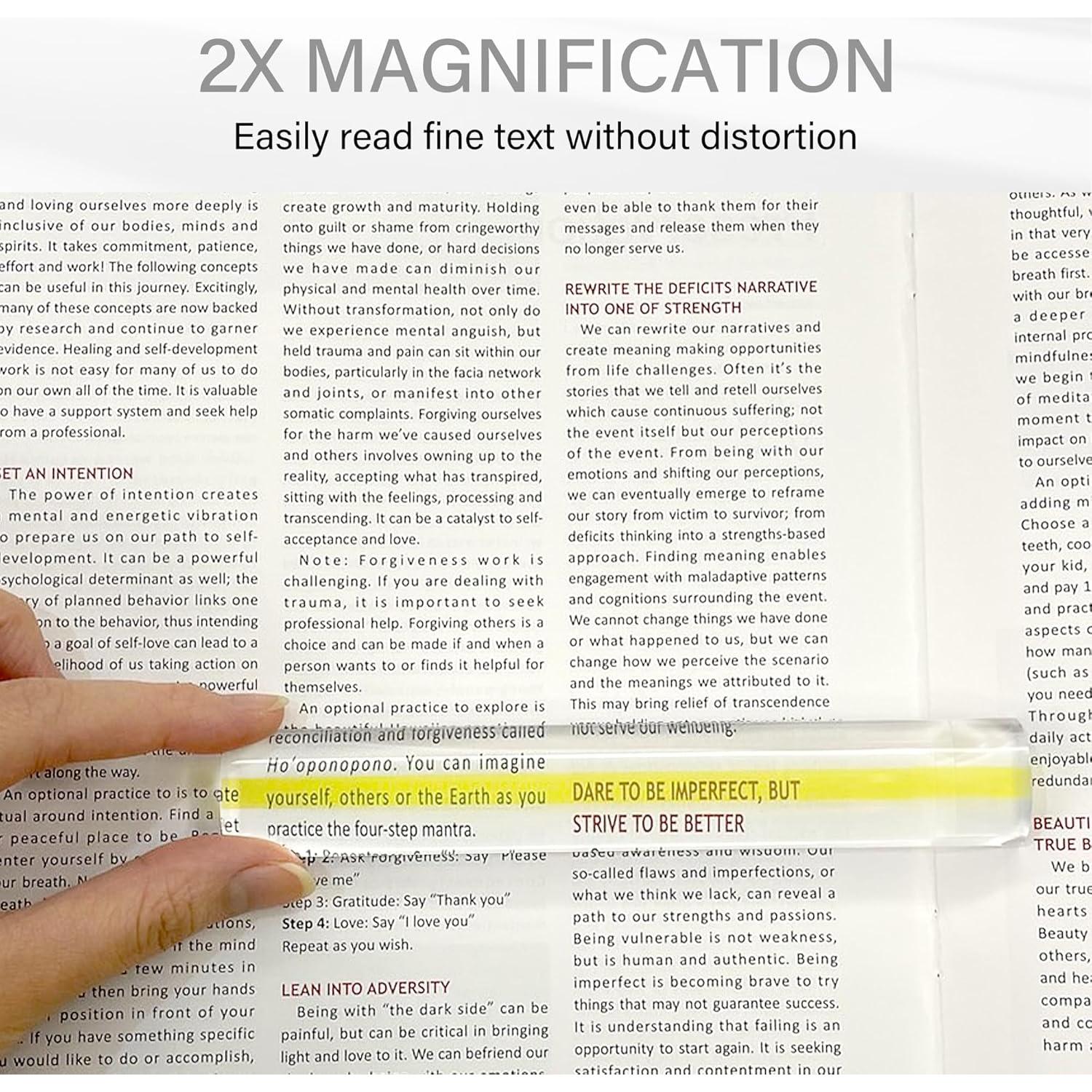 Regla de Aumento MAGDEPO 2X 15.24 cm con Lupa y Guía