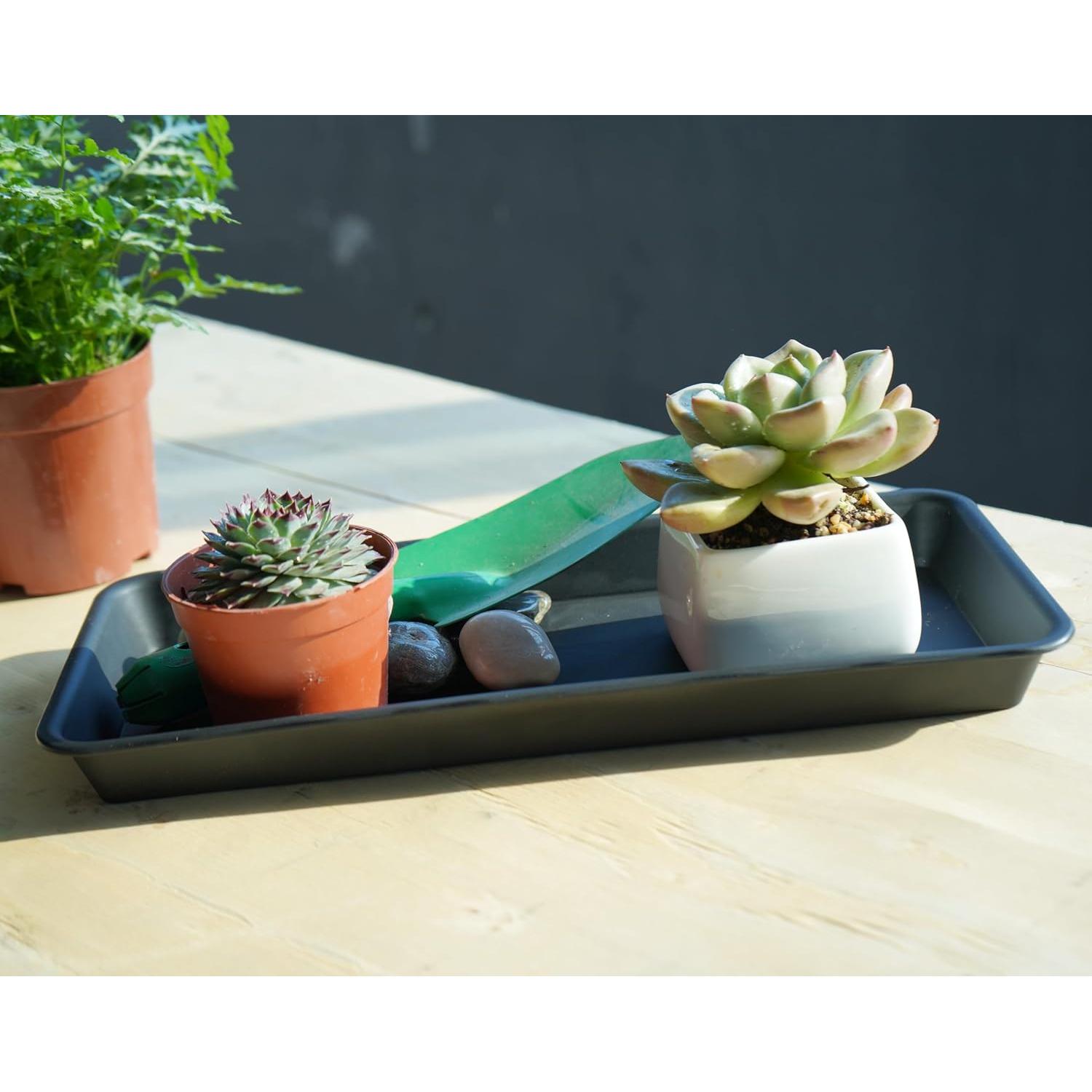 Paquete de 6 bandejas de plástico VUWEZ para plantas 27.94x15.24 cm