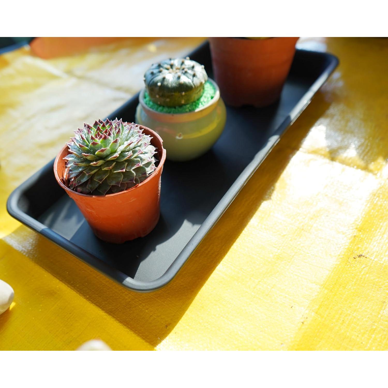 Paquete de 6 bandejas de plástico VUWEZ para plantas 27.94x15.24 cm