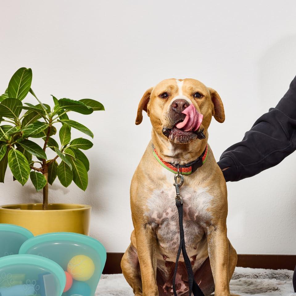 Bolsas de Silicona Reutilizables SnapPack 1650ml Teal