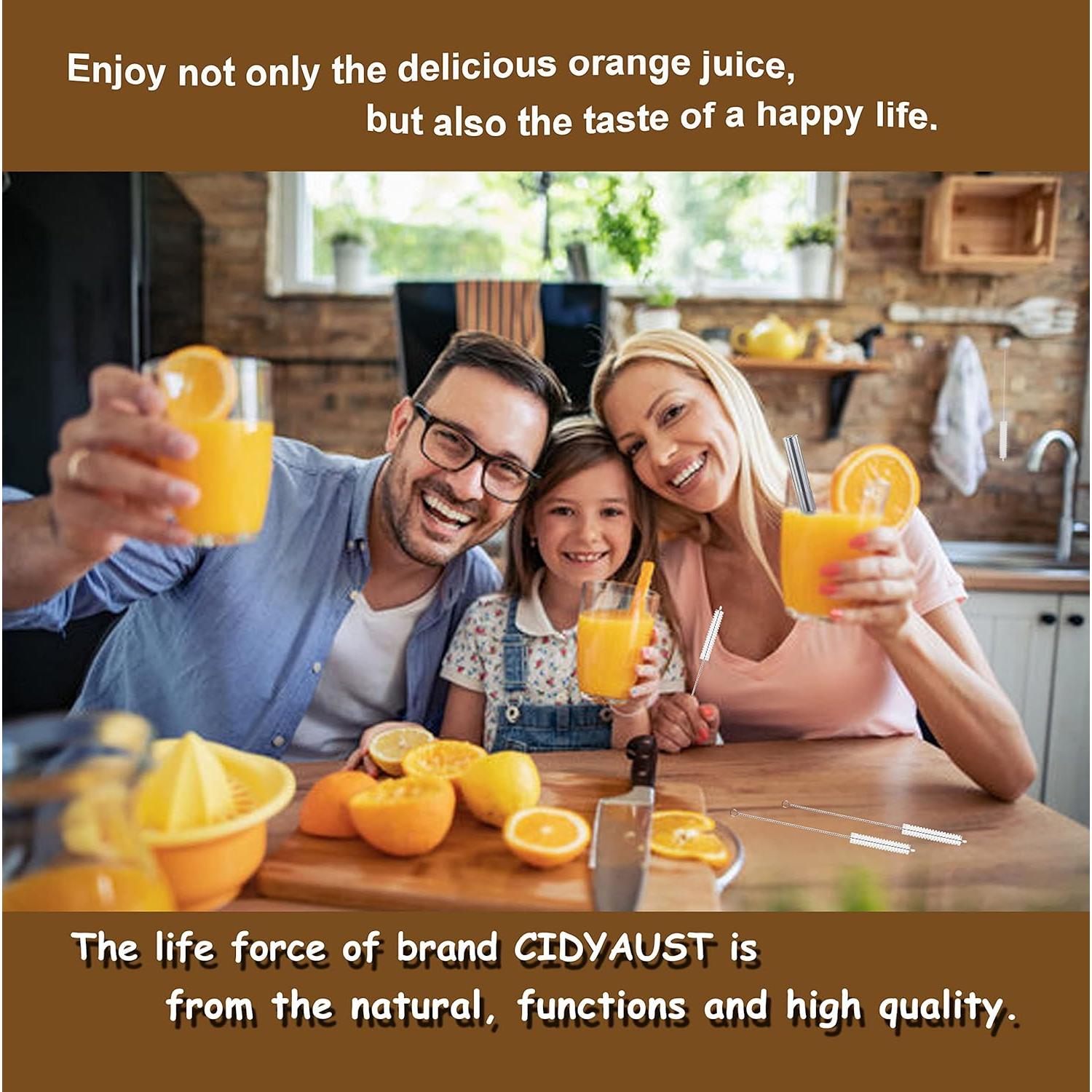 Cepillos Limpiadores de Popotes CIDYAUST 10 Piezas 30.48 cm