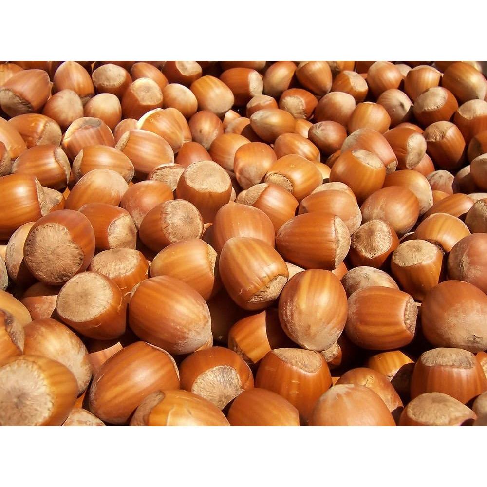 Cascanueces de Madera Efo Hongo - Herramienta Ergonómica para Nueces