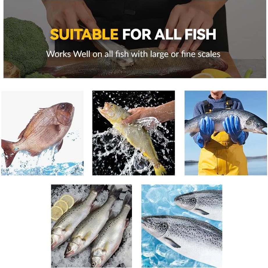 Removedor de Escamas de Pescado Inoxidable SUPERBEAR 22.1 cm