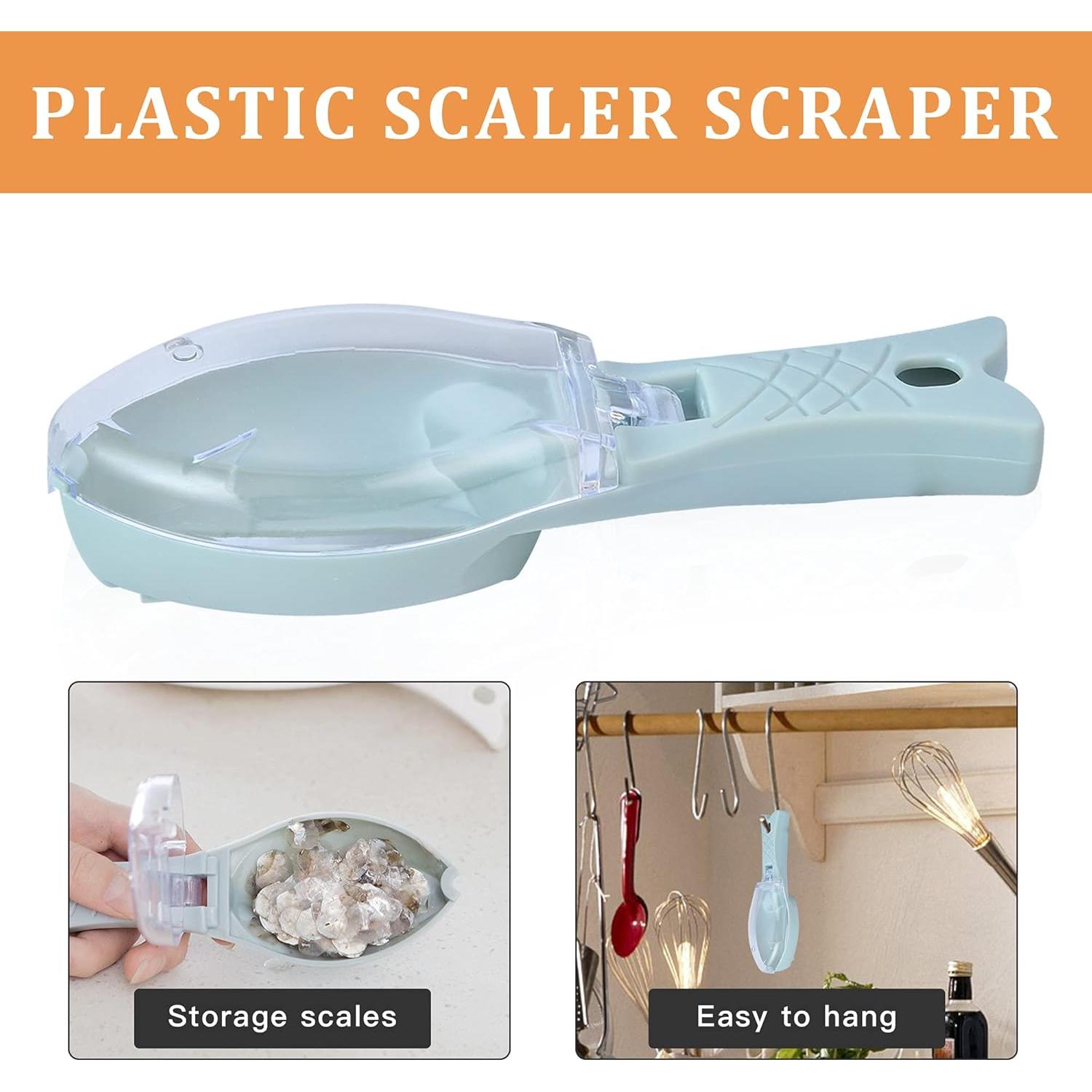 Juego de 7 Piezas Removedor de Escamas Worldity Acero Inoxidable