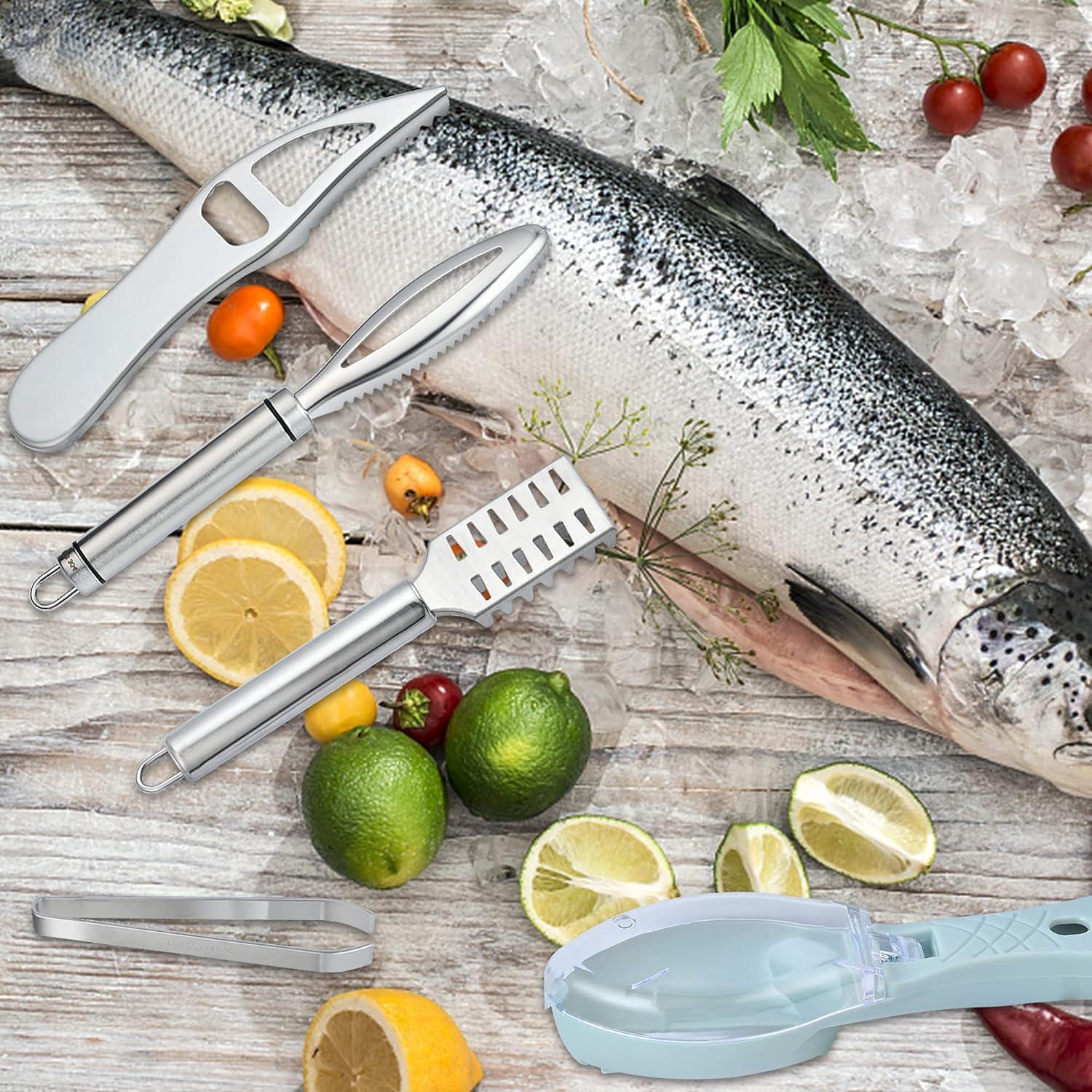 Juego de 7 Piezas Removedor de Escamas Worldity Acero Inoxidable