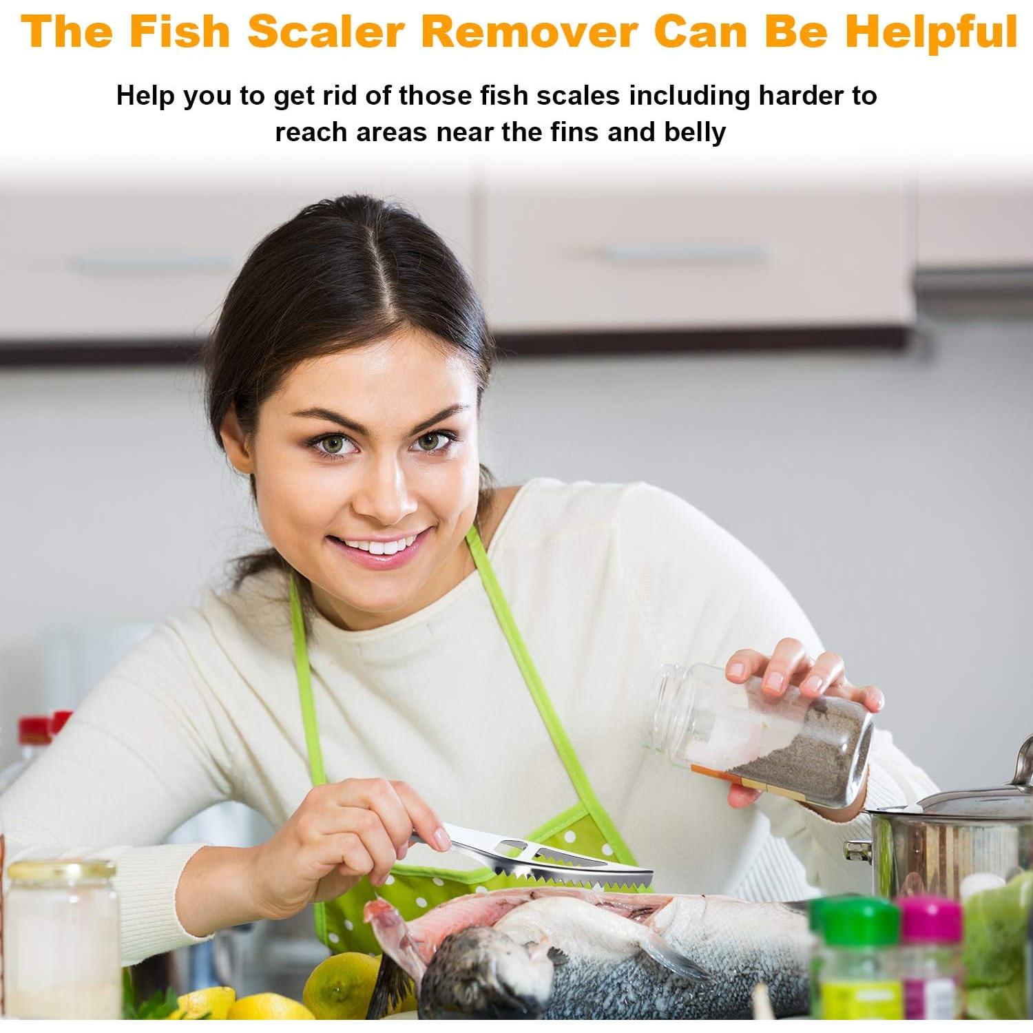 Mudder 6 Piezas Cepillos Removedores de Escamas de Pescado Acero Inoxidable