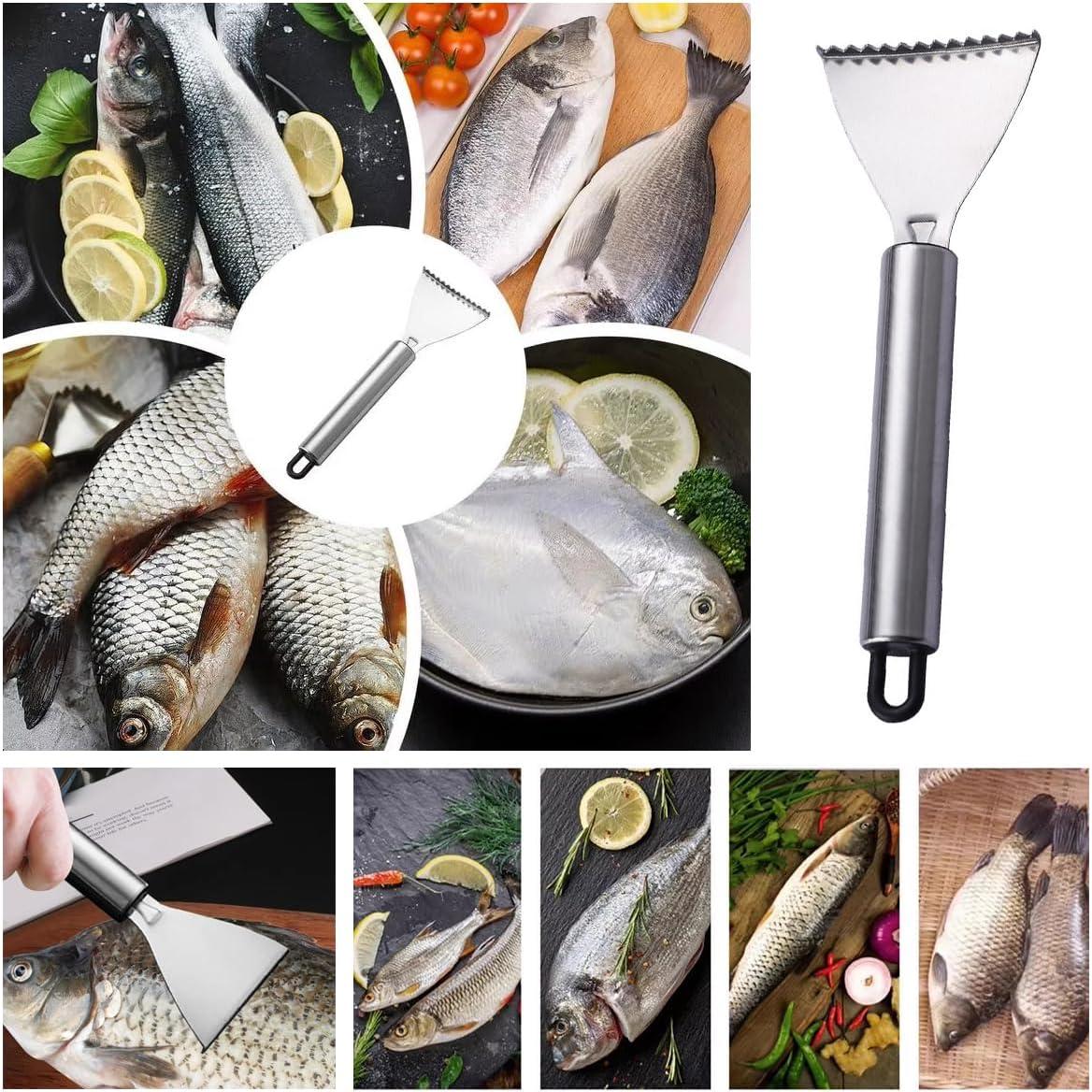 Paquete de 4 Raspadores de Escamas de Pescado TorSor Acero Inoxidable