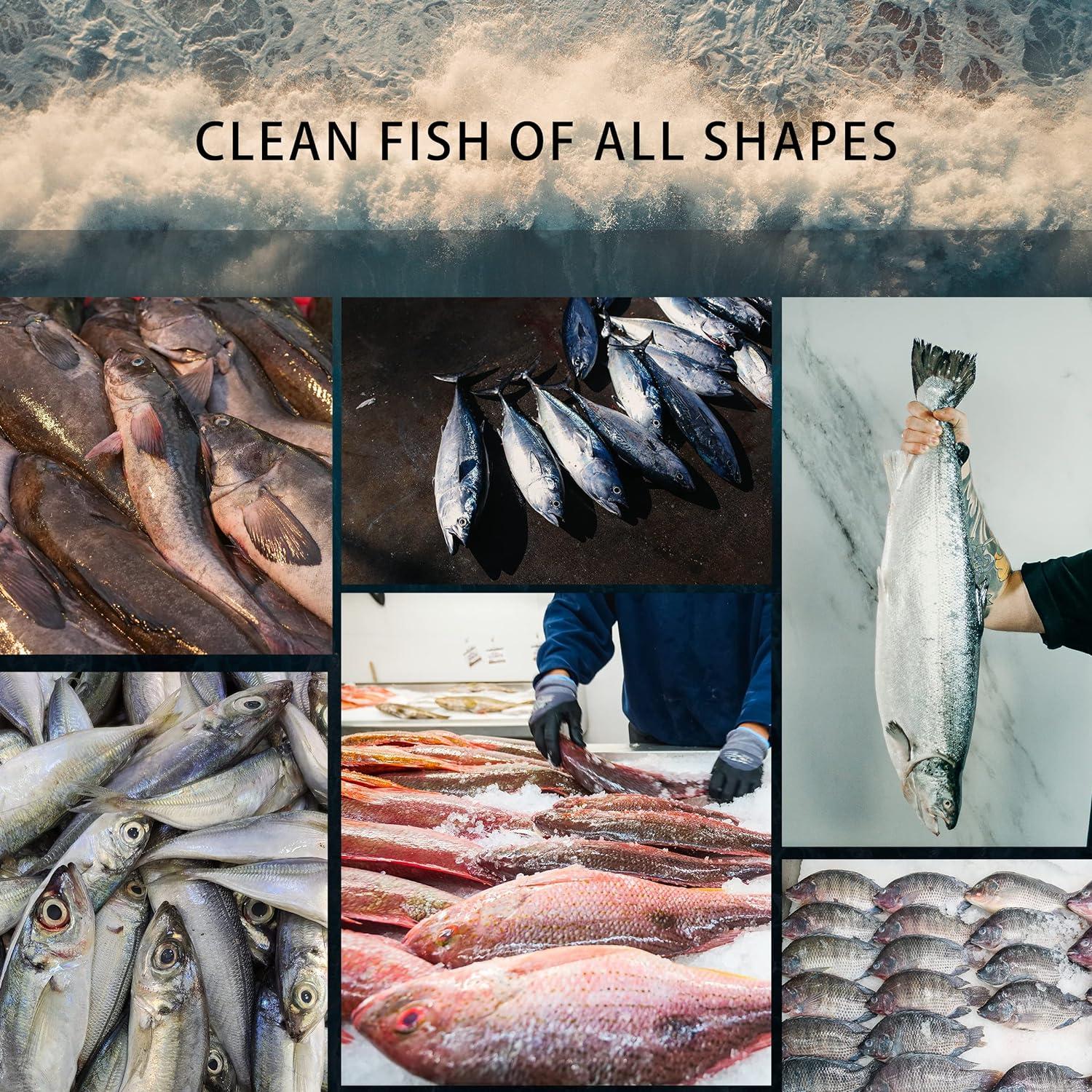 Escalador de Pescado Eléctrico YiDeyuLL 5500 RPM Inalámbrico