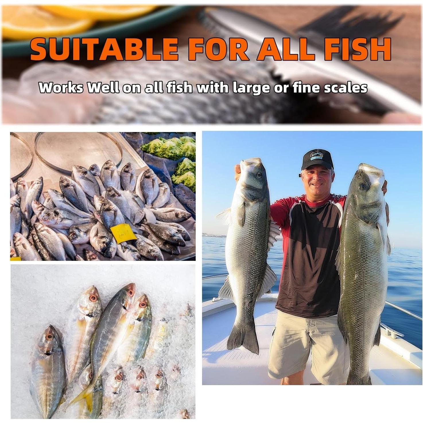 Removedor de Escamas de Pescado Vziokk 22.86 cm Acero Inoxidable