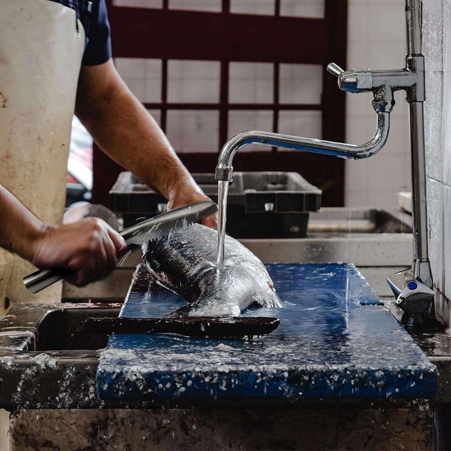 Removedor de Escamas de Pescado Vziokk 22.86 cm Acero Inoxidable