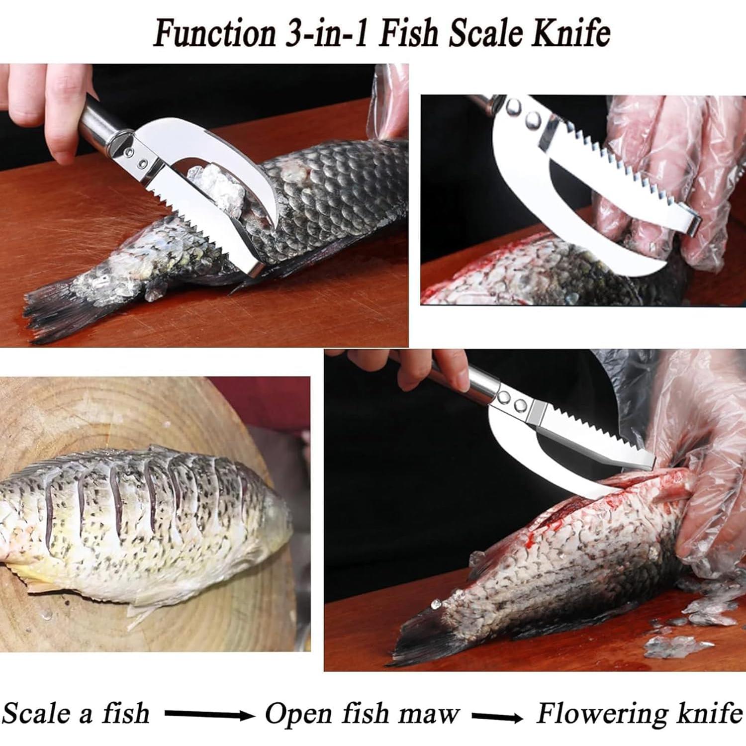 Cuchillo de Molleja de Pescado PCTC Acero Inoxidable 10 cm