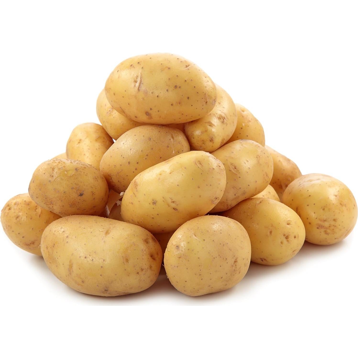 Cepillo Limpiador de Patatas HIC Kitchen - Cerdas Doble Textura