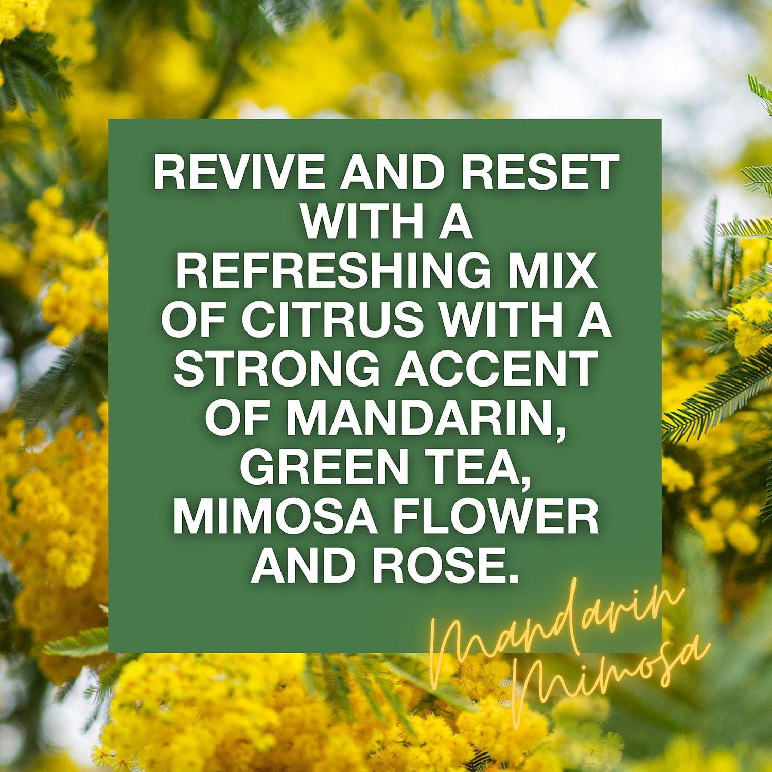 Ambientador Spray Citrus Magic Mimosa de Mandarina 2x226g