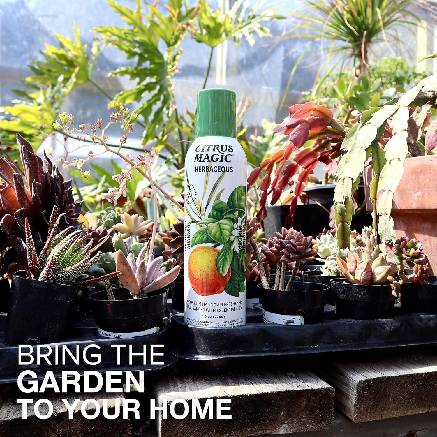 Ambientador Spray Citrus Magic Mimosa de Mandarina 2x226g