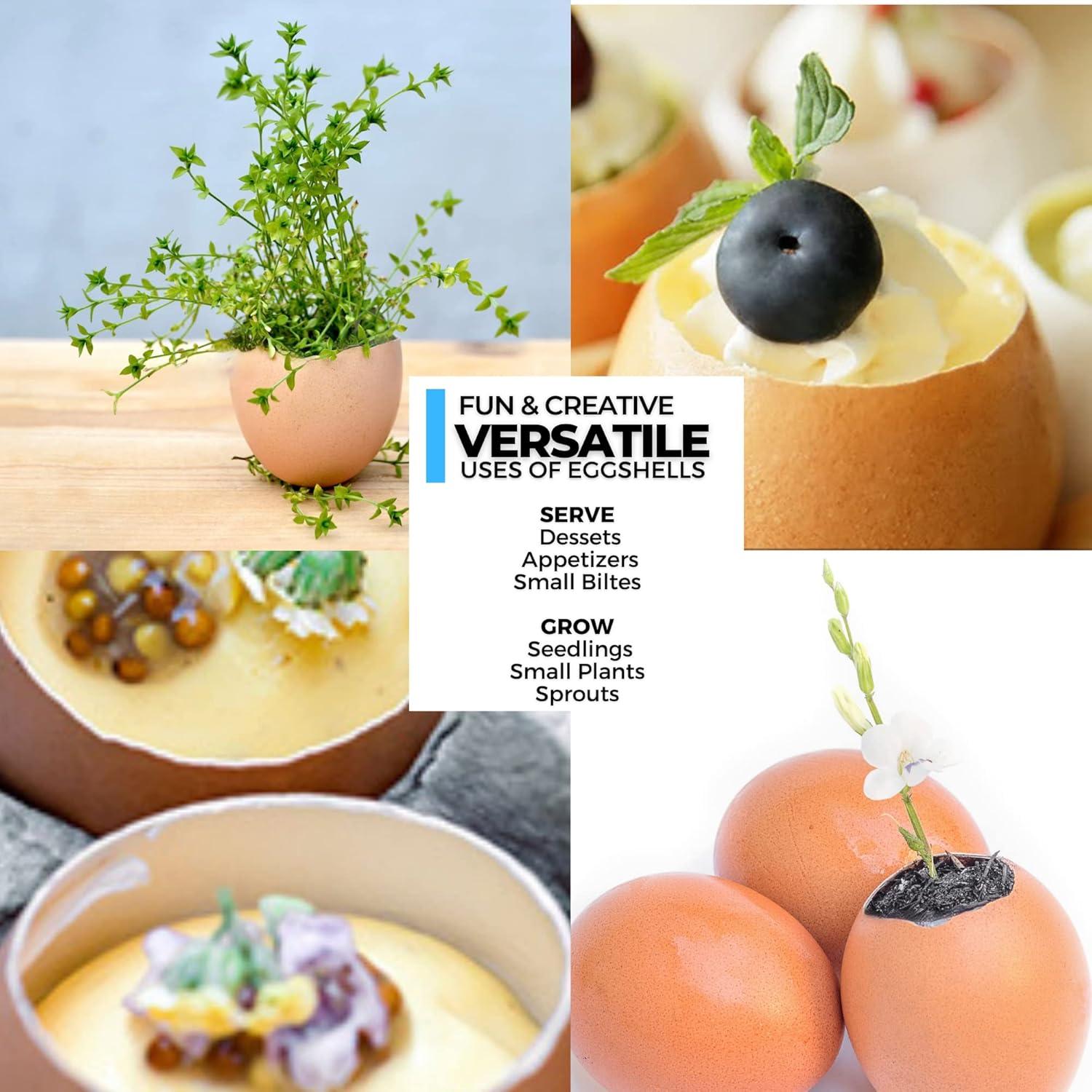 Cortador de Huevos ICO de Acero Inoxidable - Abridor Preciso