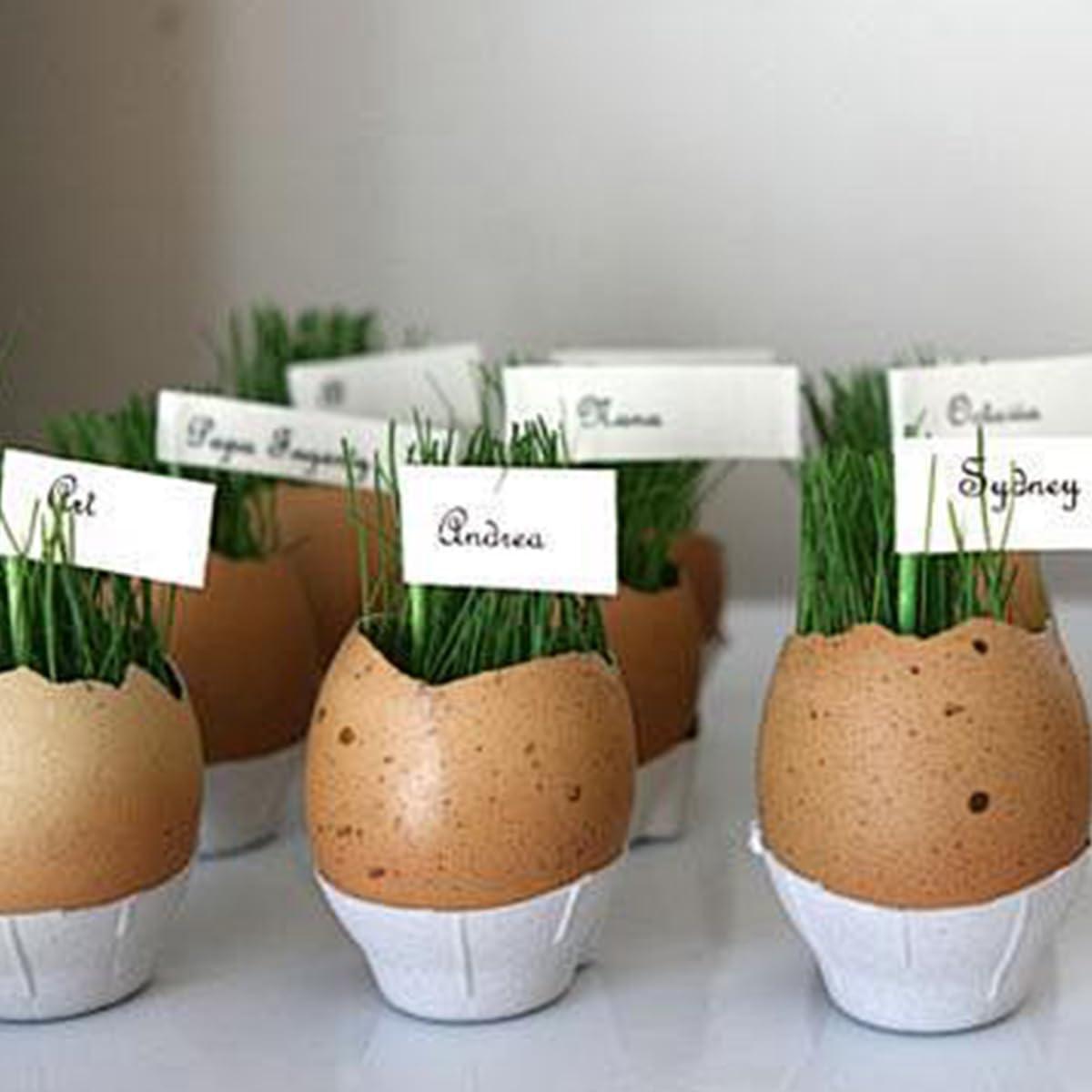 Cortador de Huevos SXoonKing de Acero Inoxidable - 2 Pcs