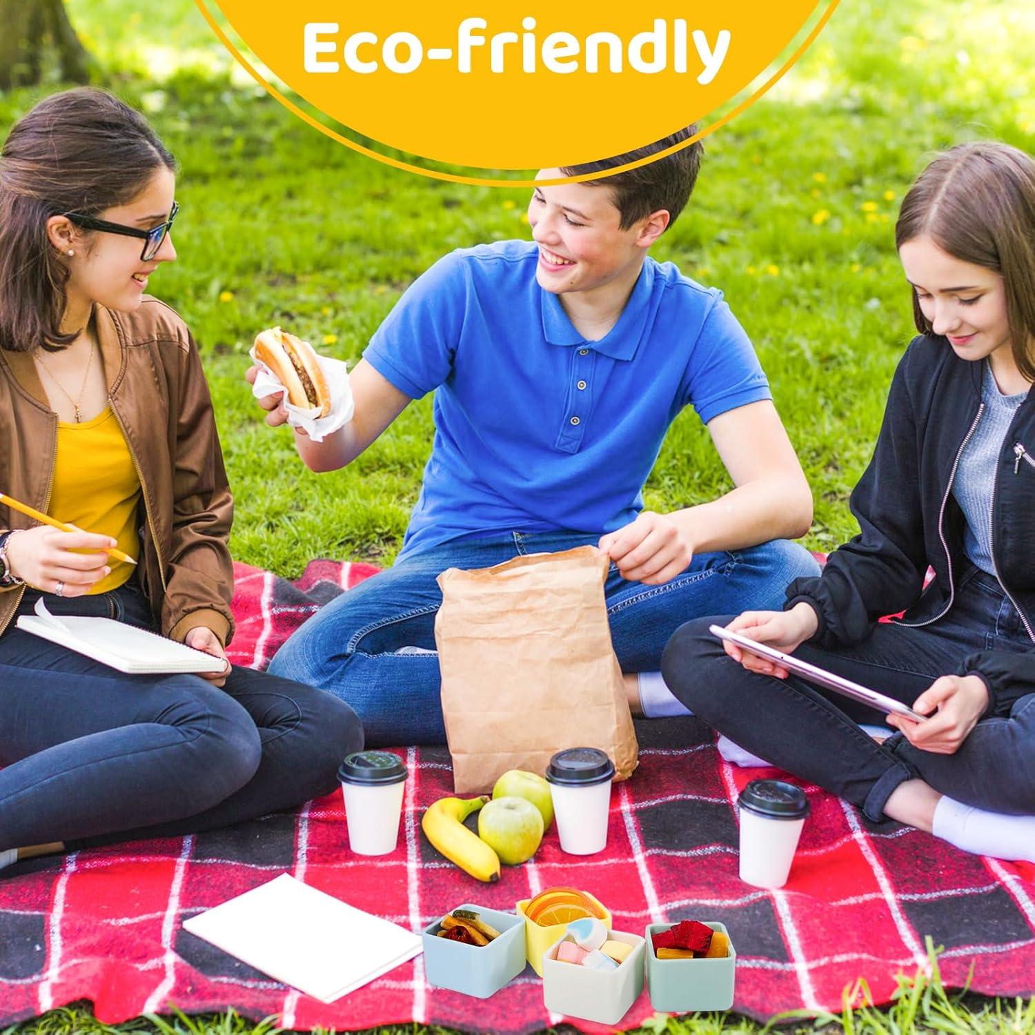 Divisores de Caja Bento de Silicona LTGUIJIAO - 9 Compartimentos