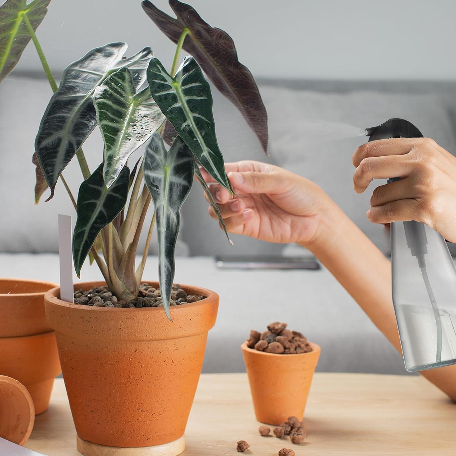 Botella Spray Continuo Lusiyi 300ml para Cabello y Plantas