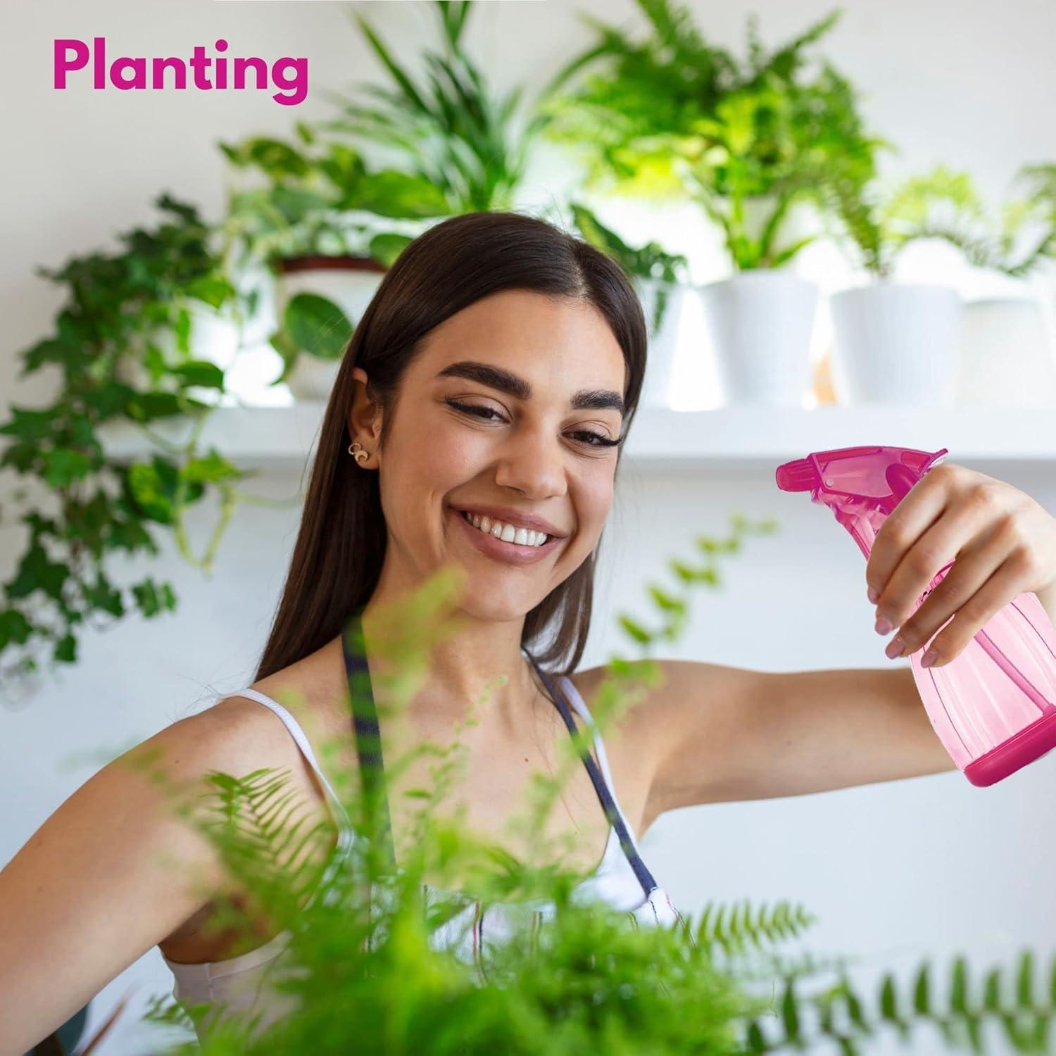 Botellas de Spray DilaBee 355ml - Paquete de 3 Colores Vibrantes