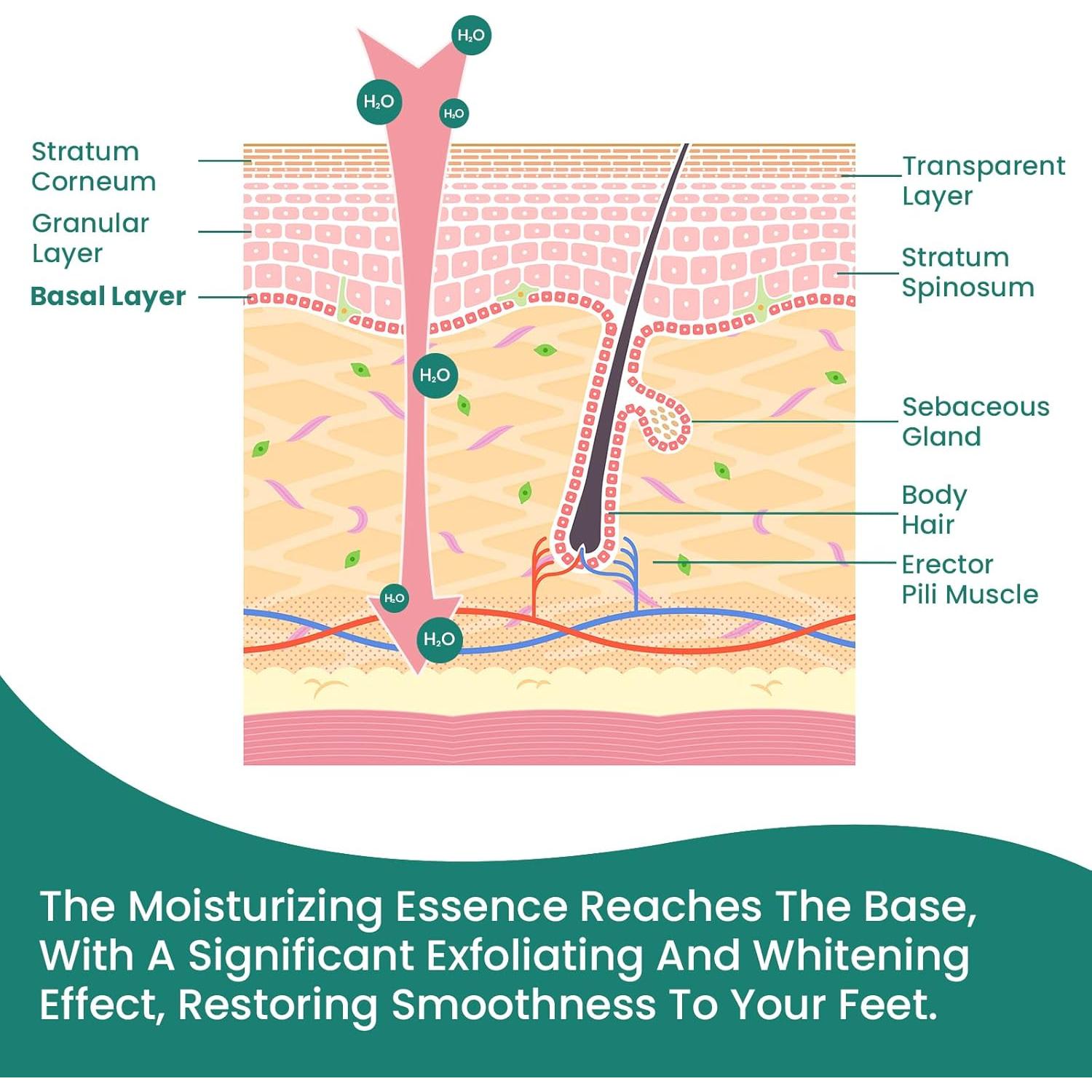 Calcetines Hidratantes Welnove para Talones - 2 Pares con Aloe Vera