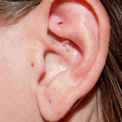 Pendientes Transparentes QWALIT 20g y 18g para Nariz y Cartílago