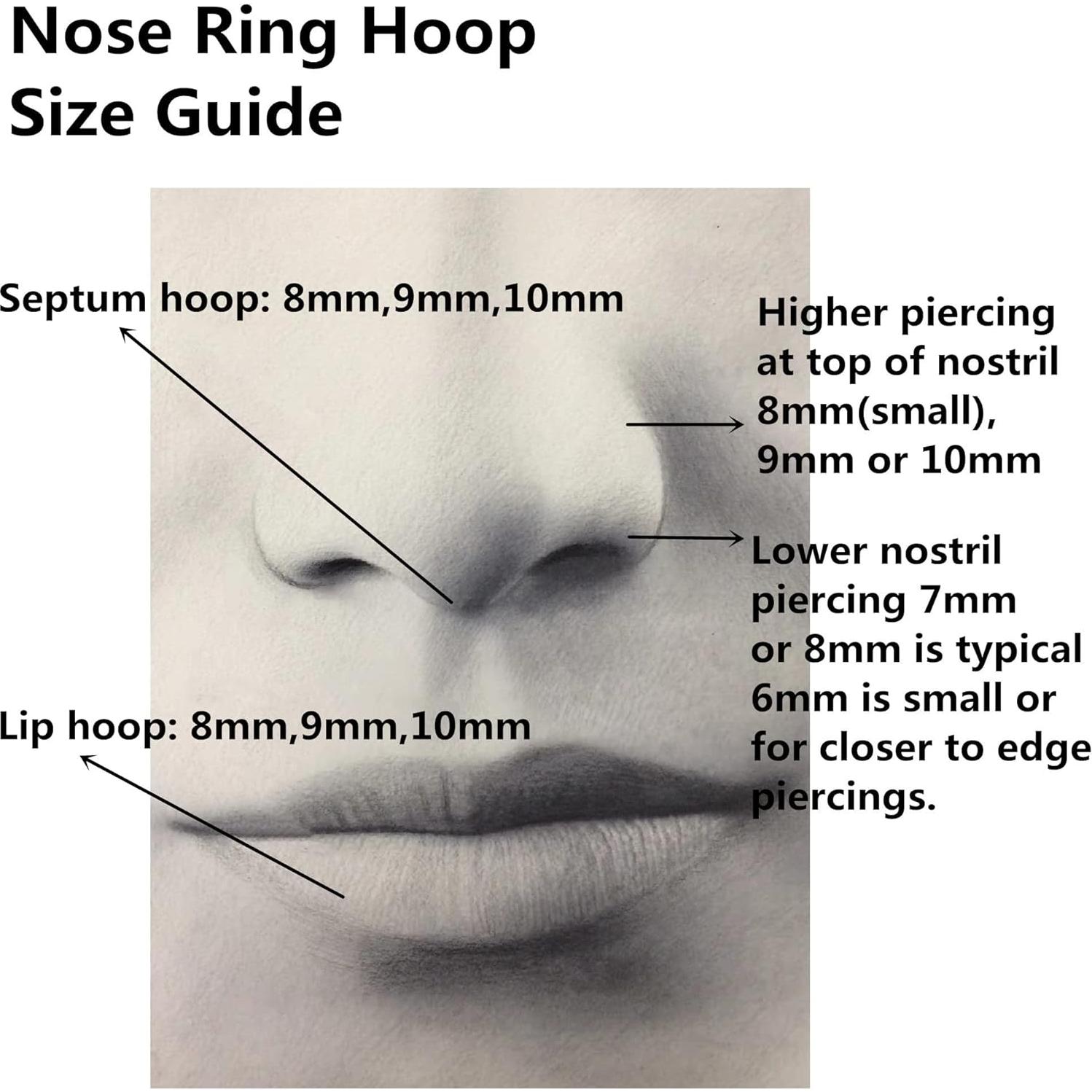 Anillo de nariz segmentado 316L acero quirúrgico 20G 8mm plata