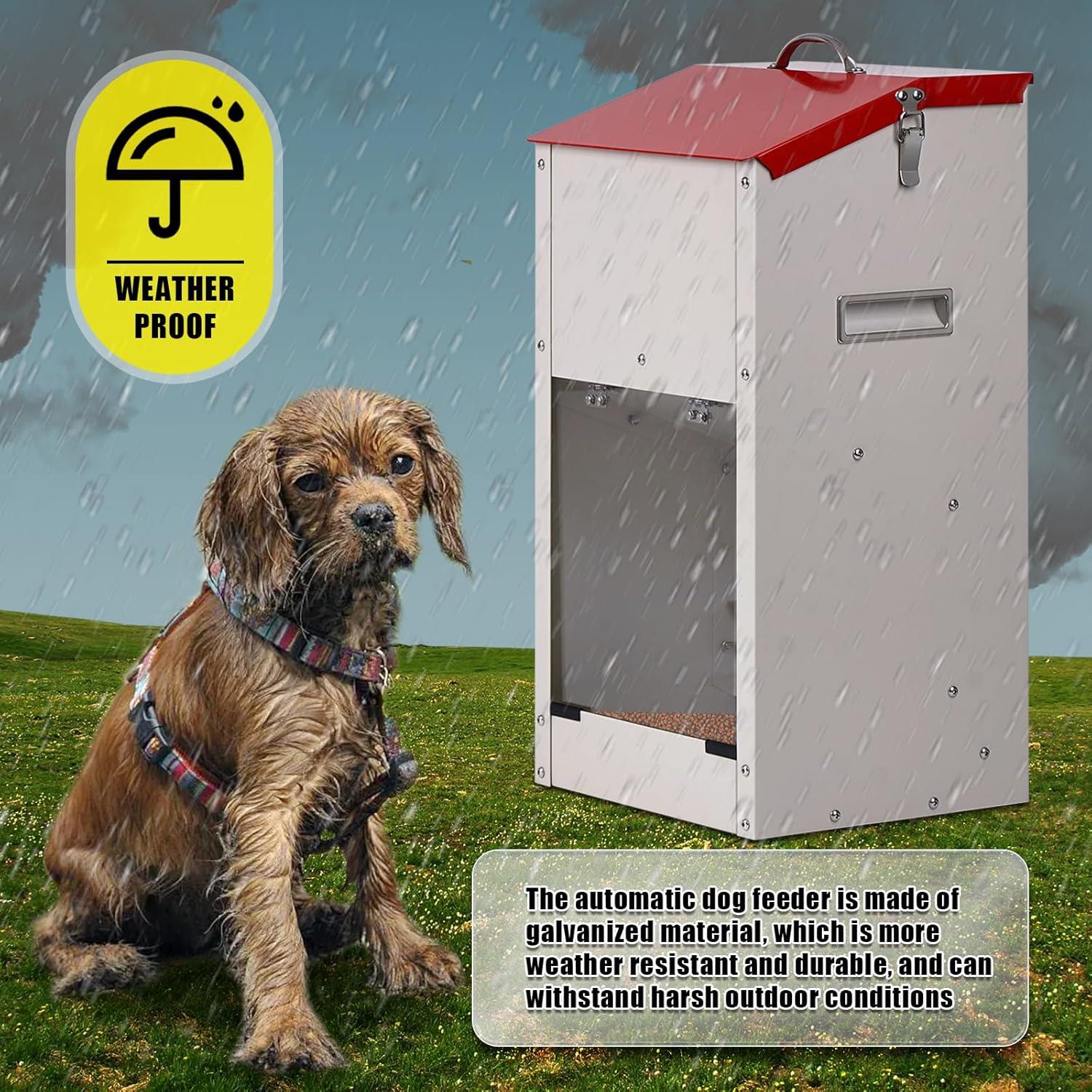 Dispensador Automático de Comida KHEARPSL Grande 11,34 kg