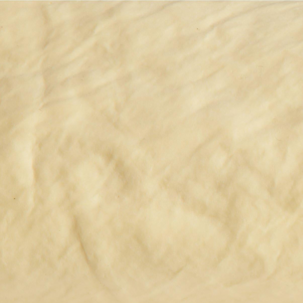 Paño de limpieza sintético Amazon Basics, 2 unidades 66x43cm