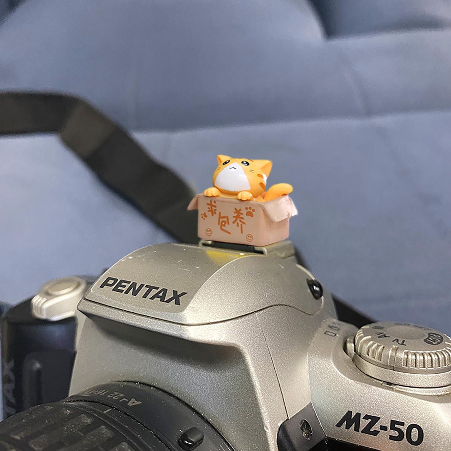 Cubierta de Zapata de Cámara MENGSOOD 2pcs Gato Protección