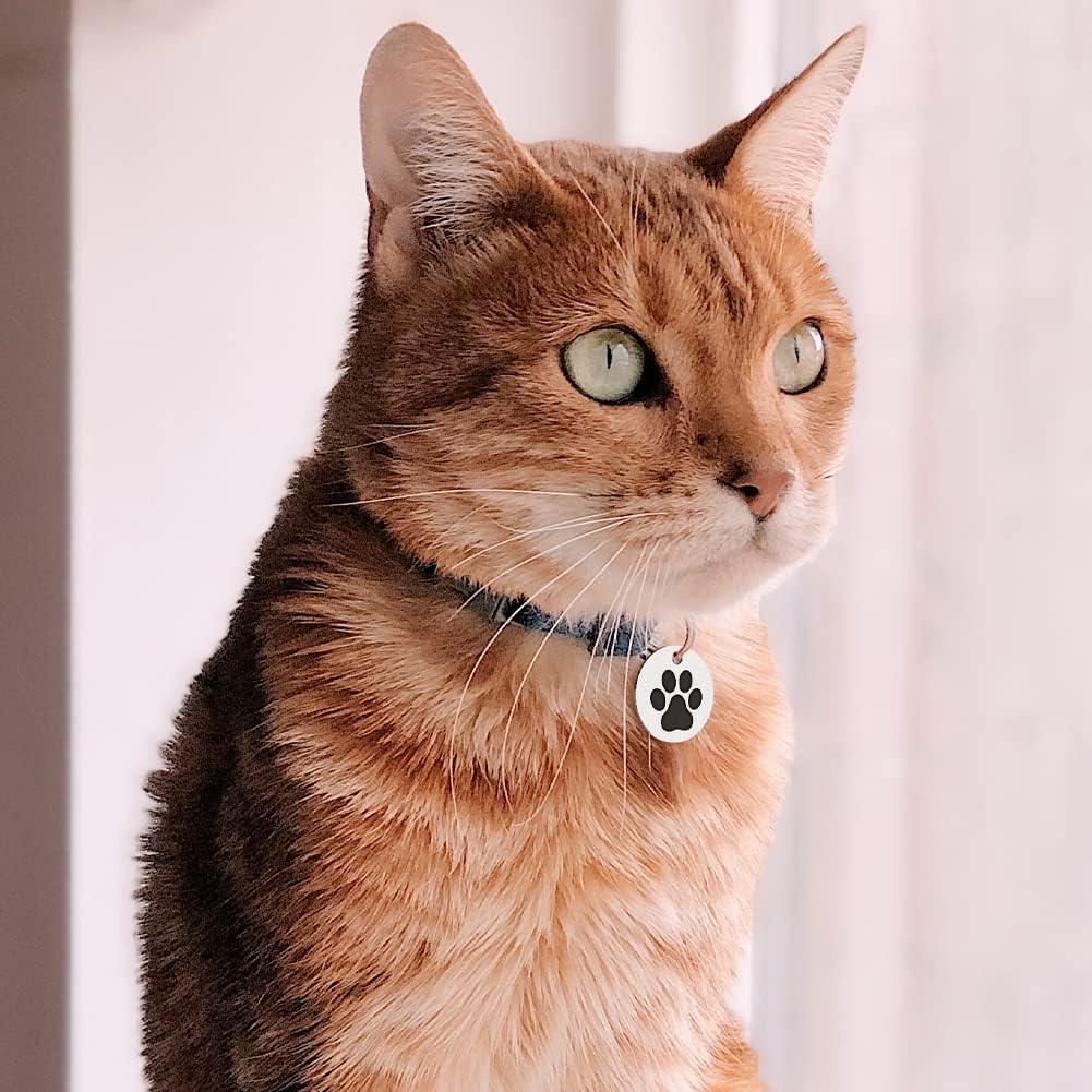 Etiqueta QR para Gatos MYLUCKYTAG - Acero Inoxidable, 2.49 cm