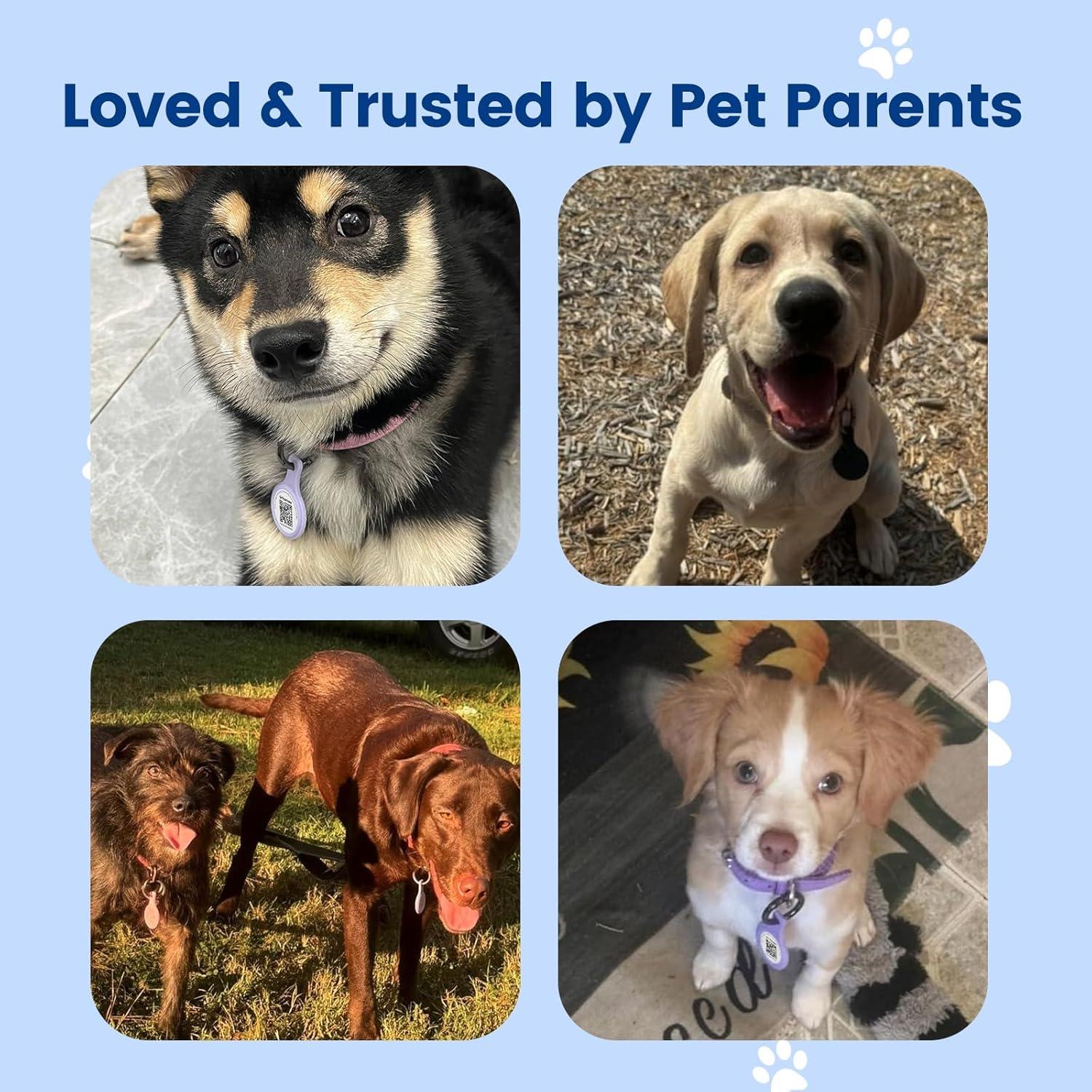 Etiqueta de Identificación para Mascotas PawView QR Silicona Blanca