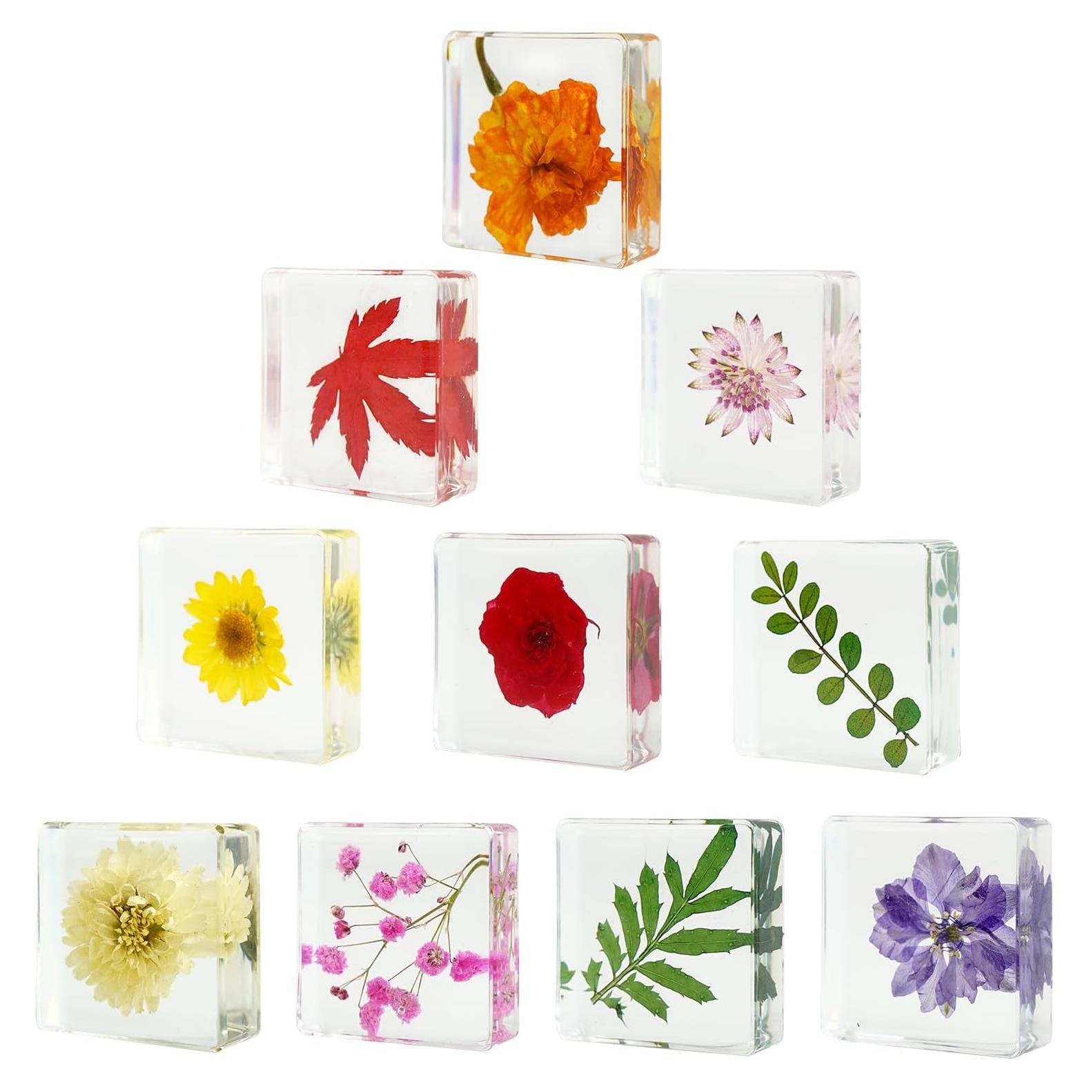 10 Pesas de Papel de Flores Secas ShioShin - Decoración Resina