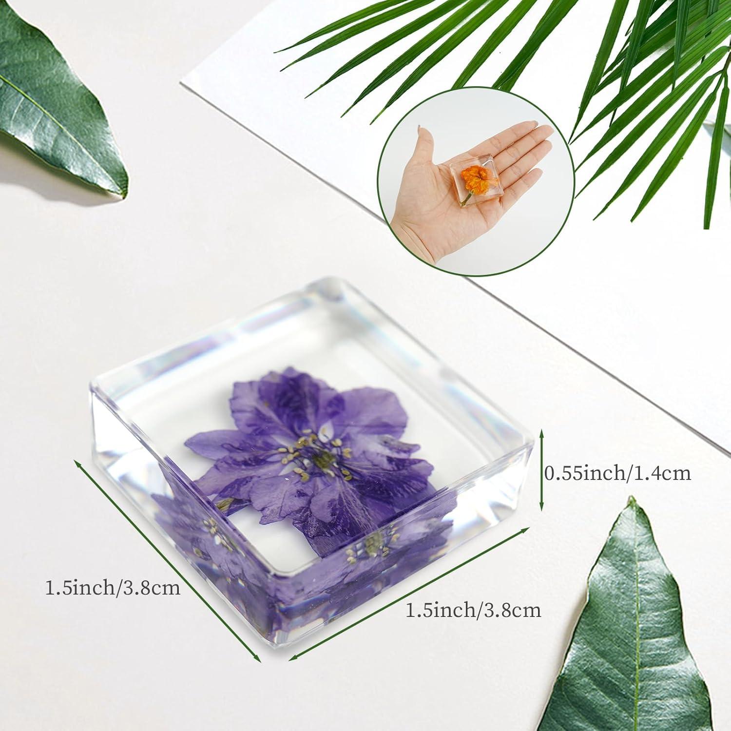 10 Pesas de Papel de Flores Secas ShioShin - Decoración Resina