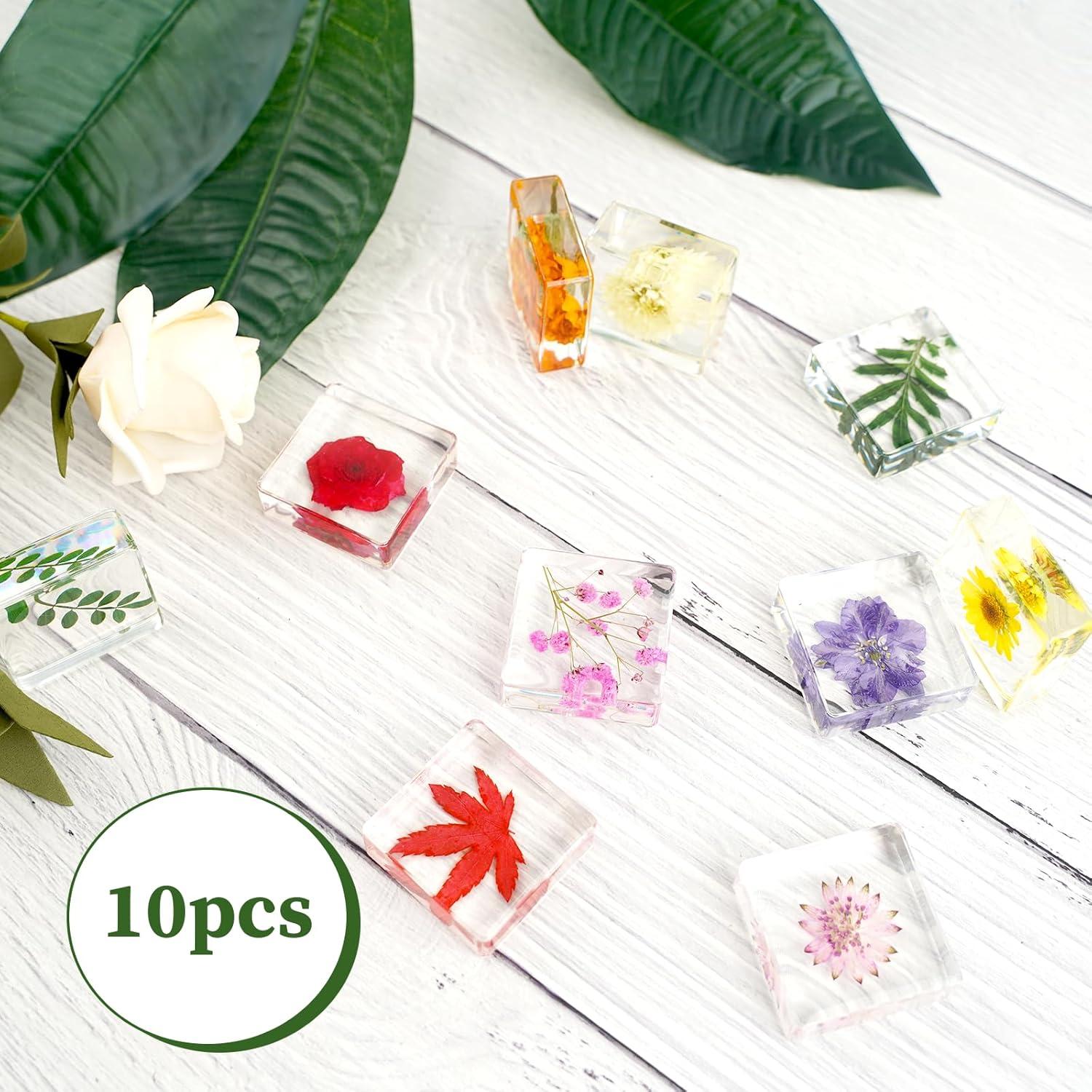 10 Pesas de Papel de Flores Secas ShioShin - Decoración Resina