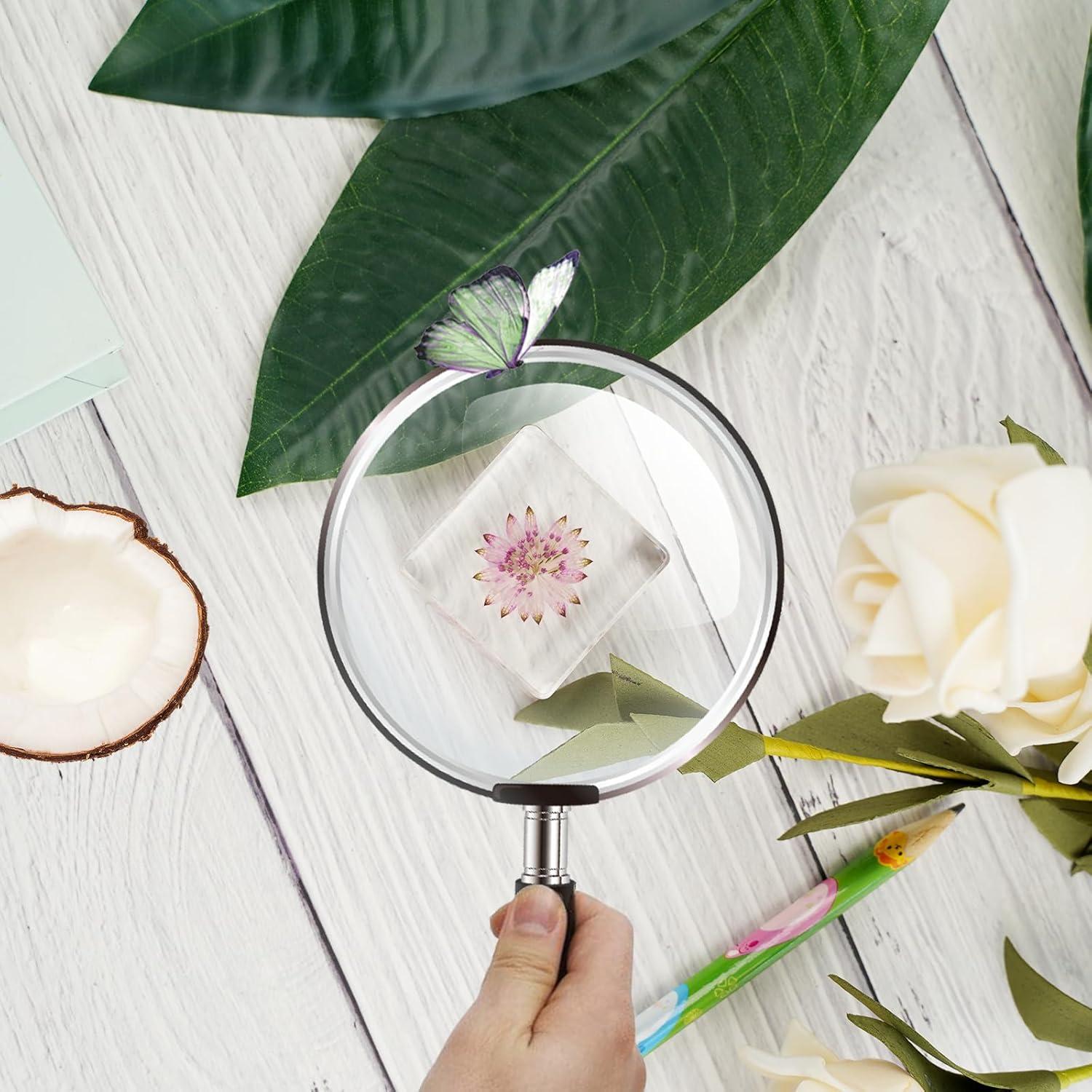 10 Pesas de Papel de Flores Secas ShioShin - Decoración Resina