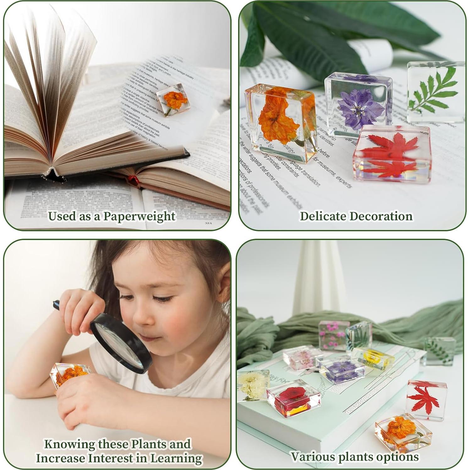 10 Pesas de Papel de Flores Secas ShioShin - Decoración Resina