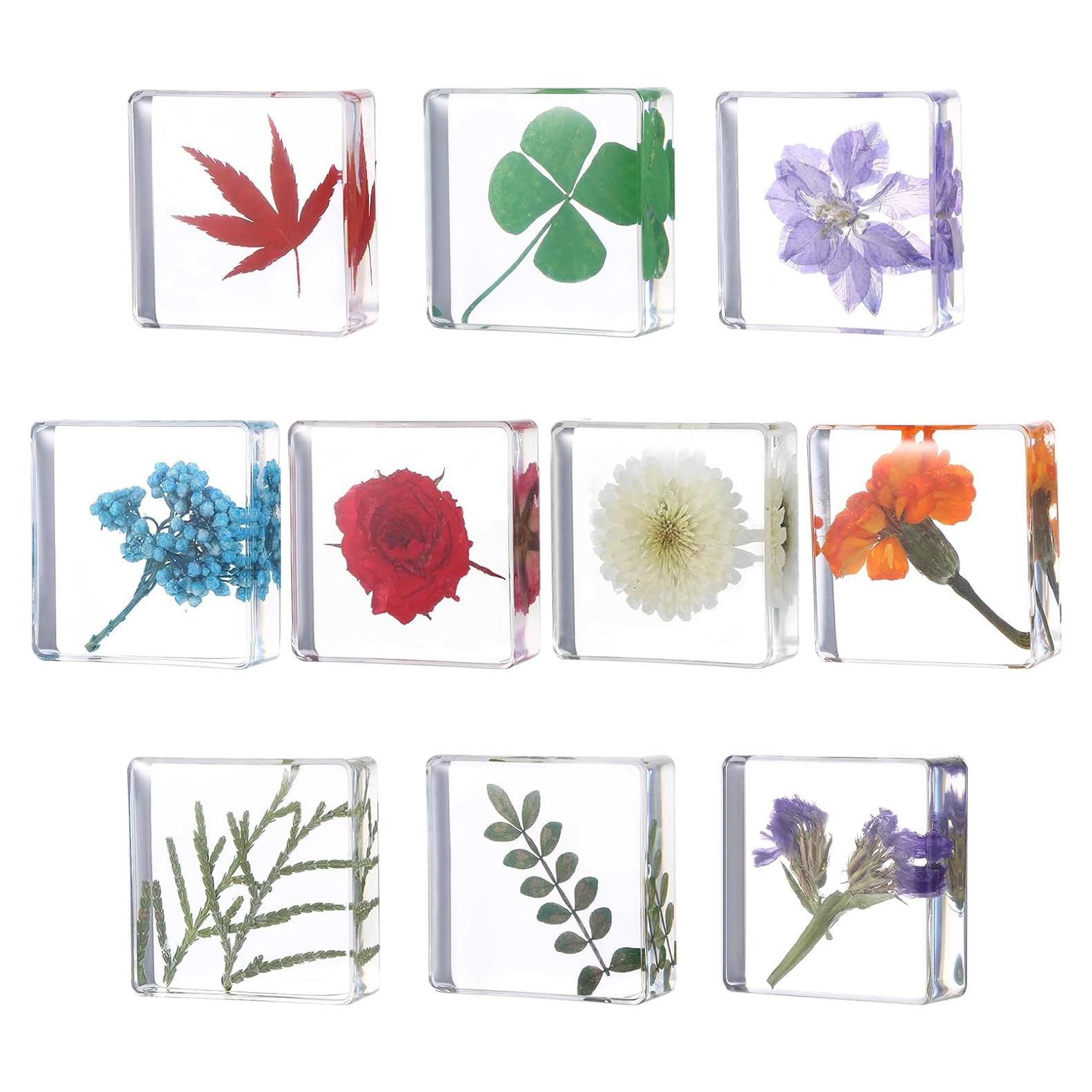 Pesas de Papel Decorativas Hoohnnaa con Flores Presionadas 10 Pcs