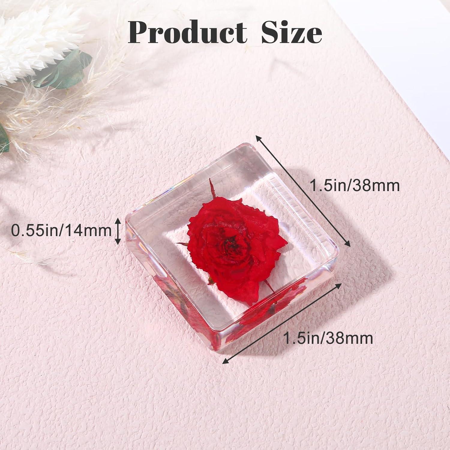 Pesas de Papel Decorativas Hoohnnaa con Flores Presionadas 10 Pcs