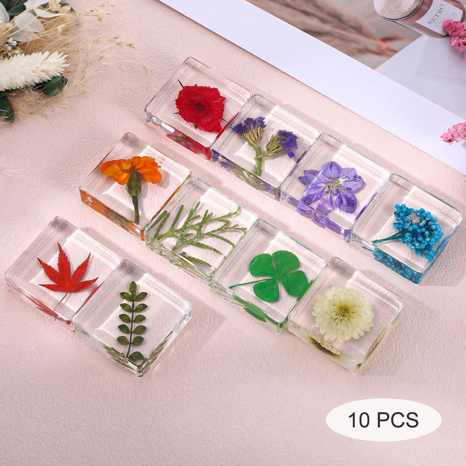 Pesas de Papel Decorativas Hoohnnaa con Flores Presionadas 10 Pcs