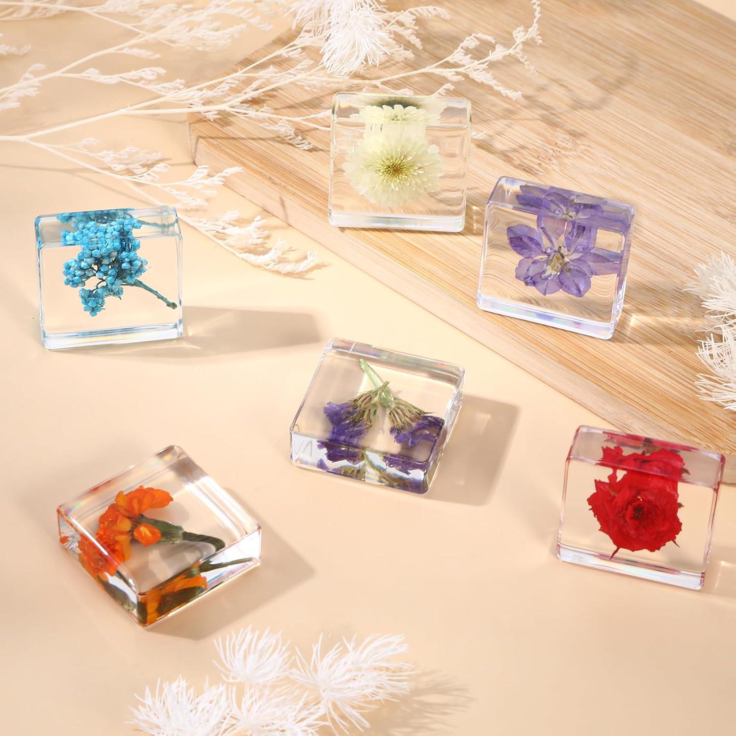 Pesas de Papel Decorativas Hoohnnaa con Flores Presionadas 10 Pcs