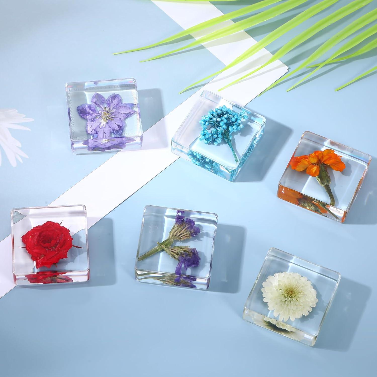 Pesas de Papel Decorativas Hoohnnaa con Flores Presionadas 10 Pcs