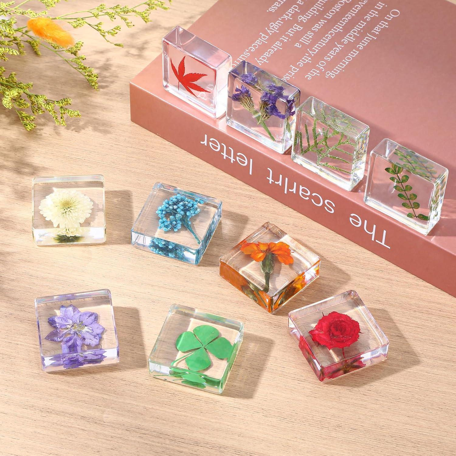 Pesas de Papel Decorativas Hoohnnaa con Flores Presionadas 10 Pcs