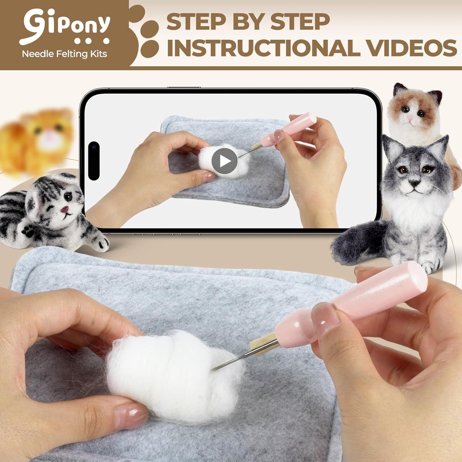 Kit de Fieltro de Aguja Gipony para Principiantes - 6 Piezas