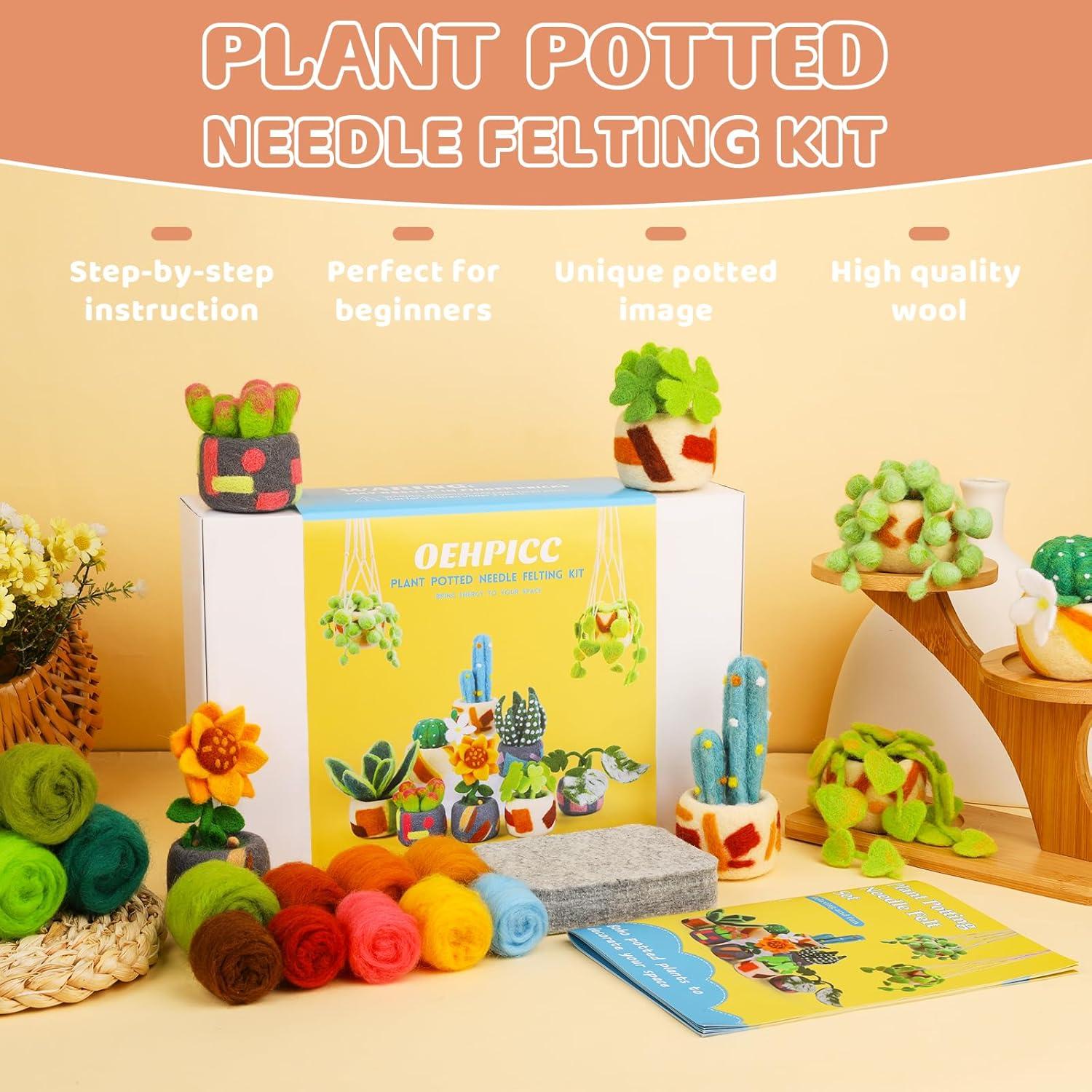 Kit de Fieltro de Aguja OEHPICC - 10 Piezas para Principiantes