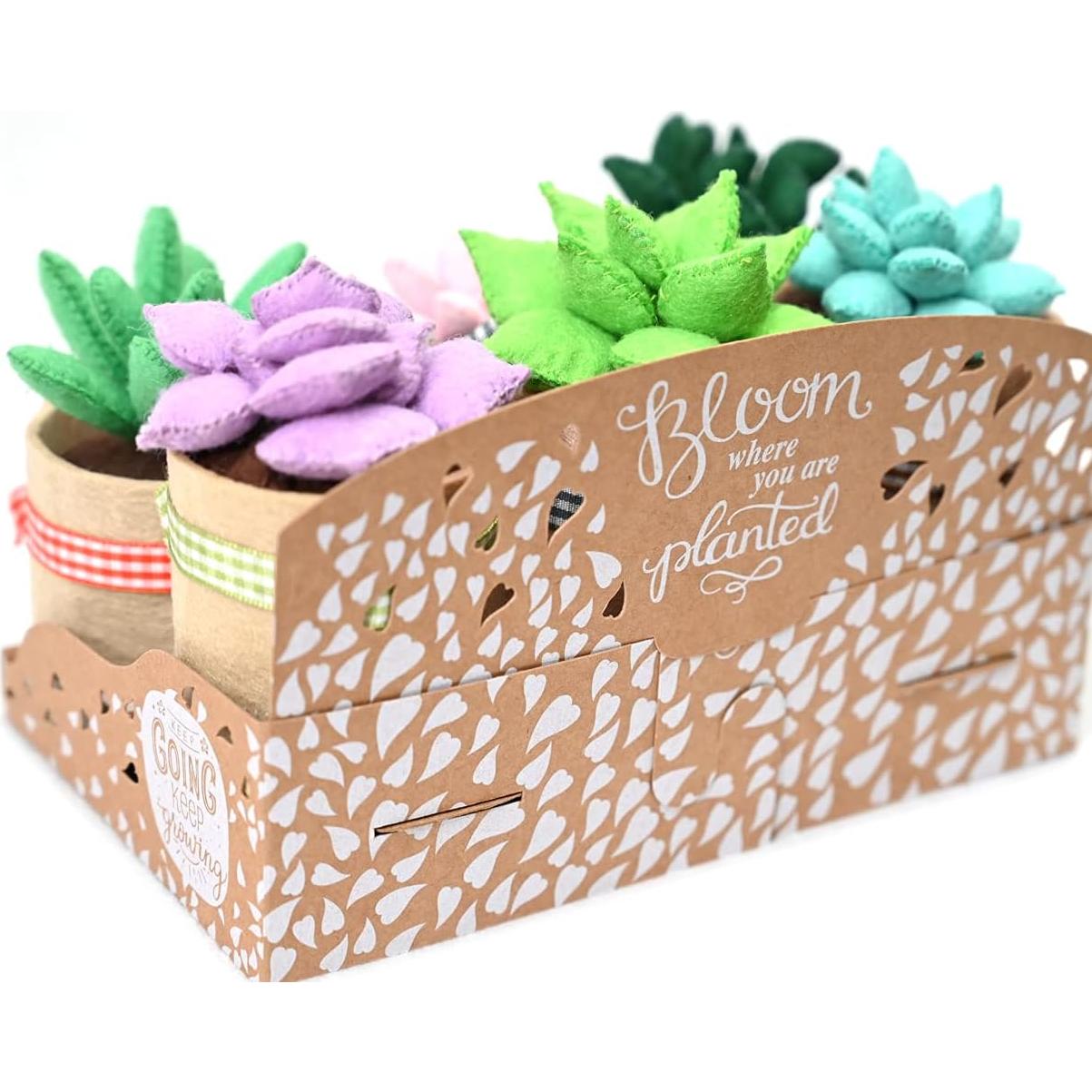 Kit de Manualidades de Fieltro Jardín Brillante - 6 Suculentas 8.9 cm