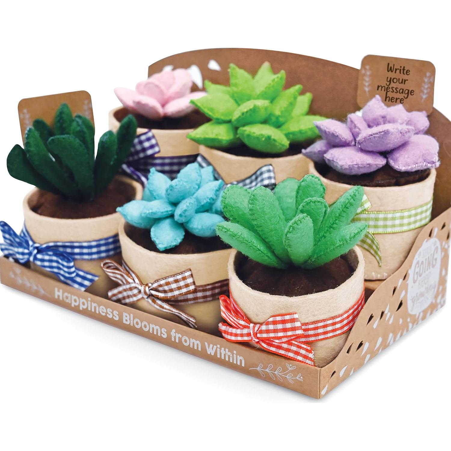 Kit de Manualidades de Fieltro Jardín Brillante - 6 Suculentas 8.9 cm