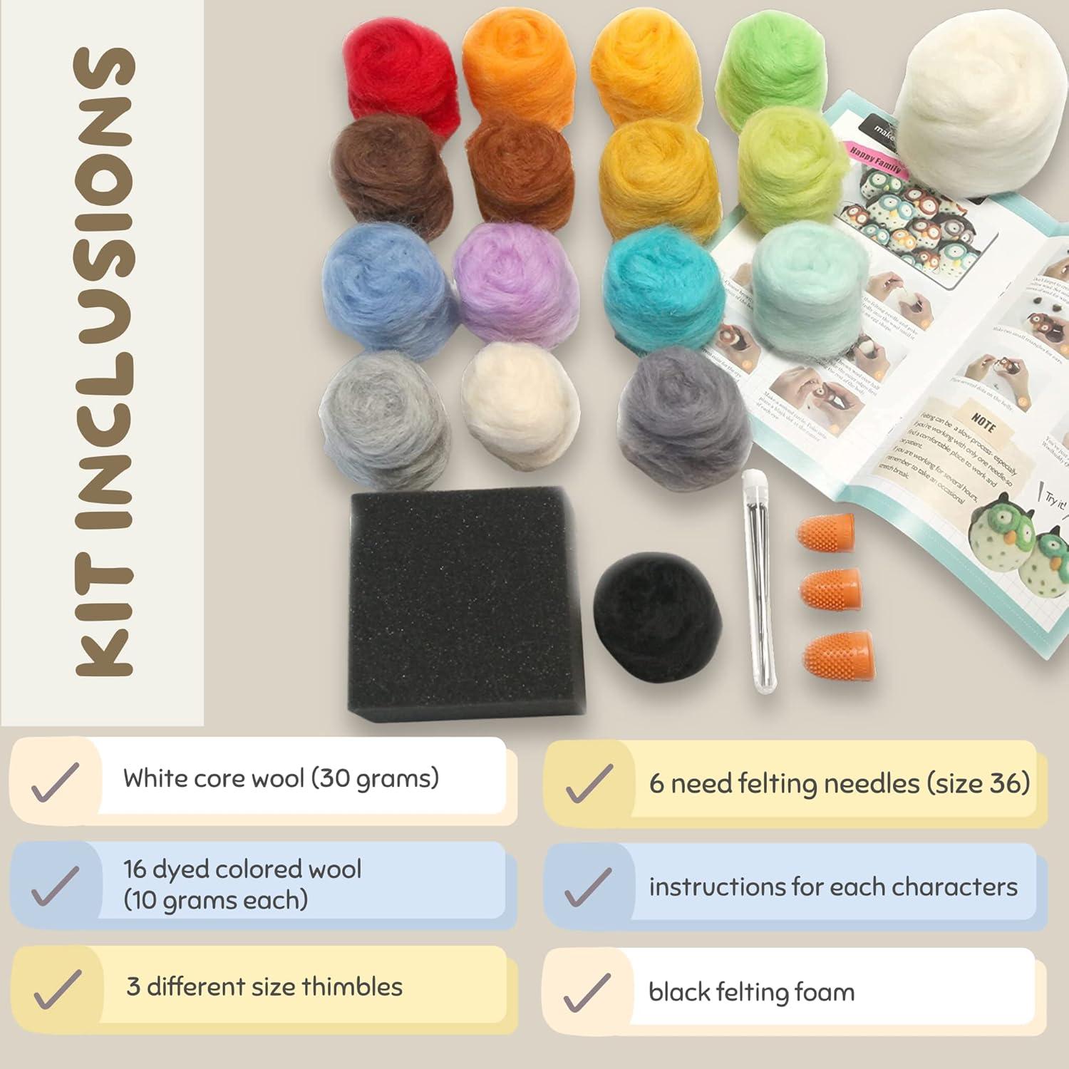 Kit de Fieltro de Aguja Woolbuddy para Principiantes - 16 Piezas