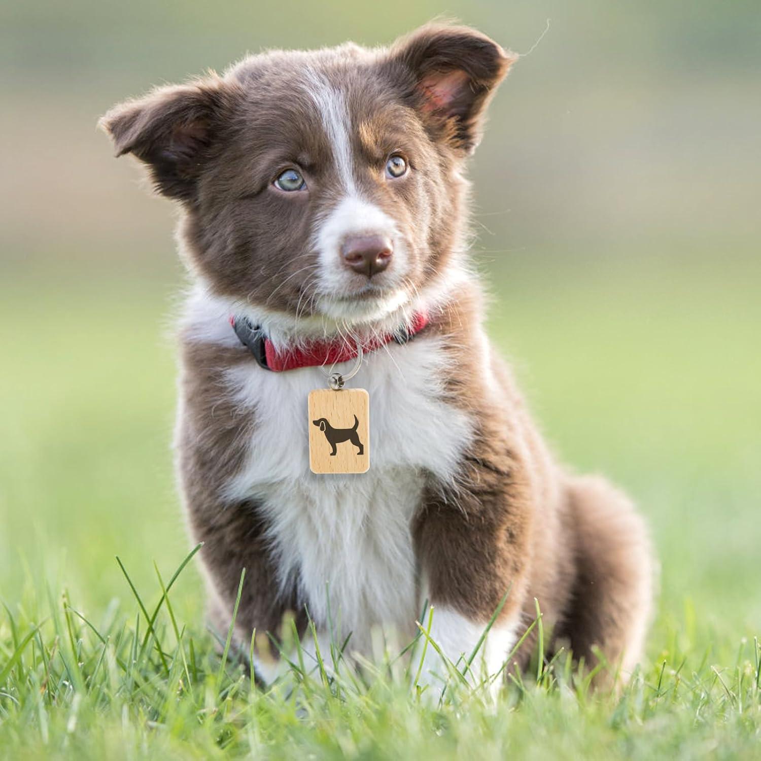 WRINGKIT 50 Llaves de Madera en Blanco para DIY 5.08x3.05cm