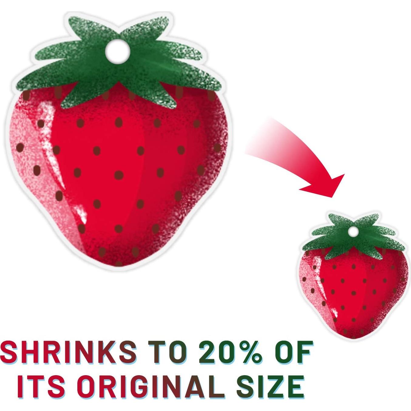 Kit de Manualidades Rainmae 181 Piezas - Hojas Termocontraíbles y Accesorios